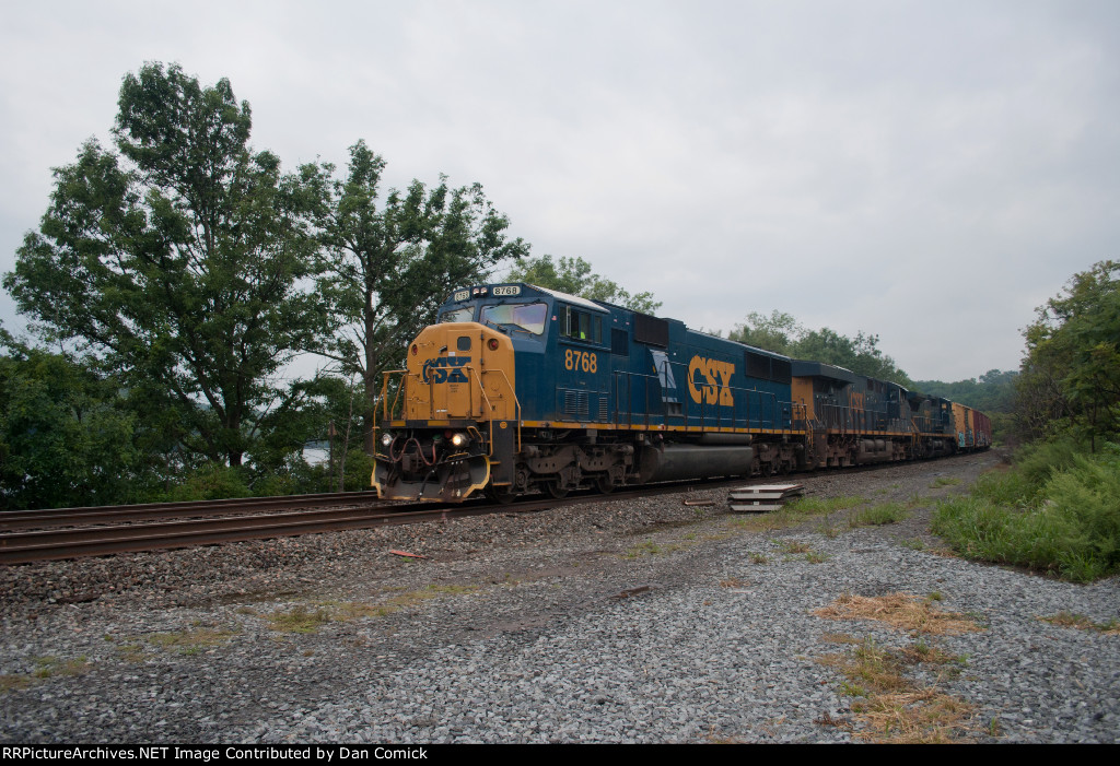 CSX 8768 Leads Q384 at Amsterdam